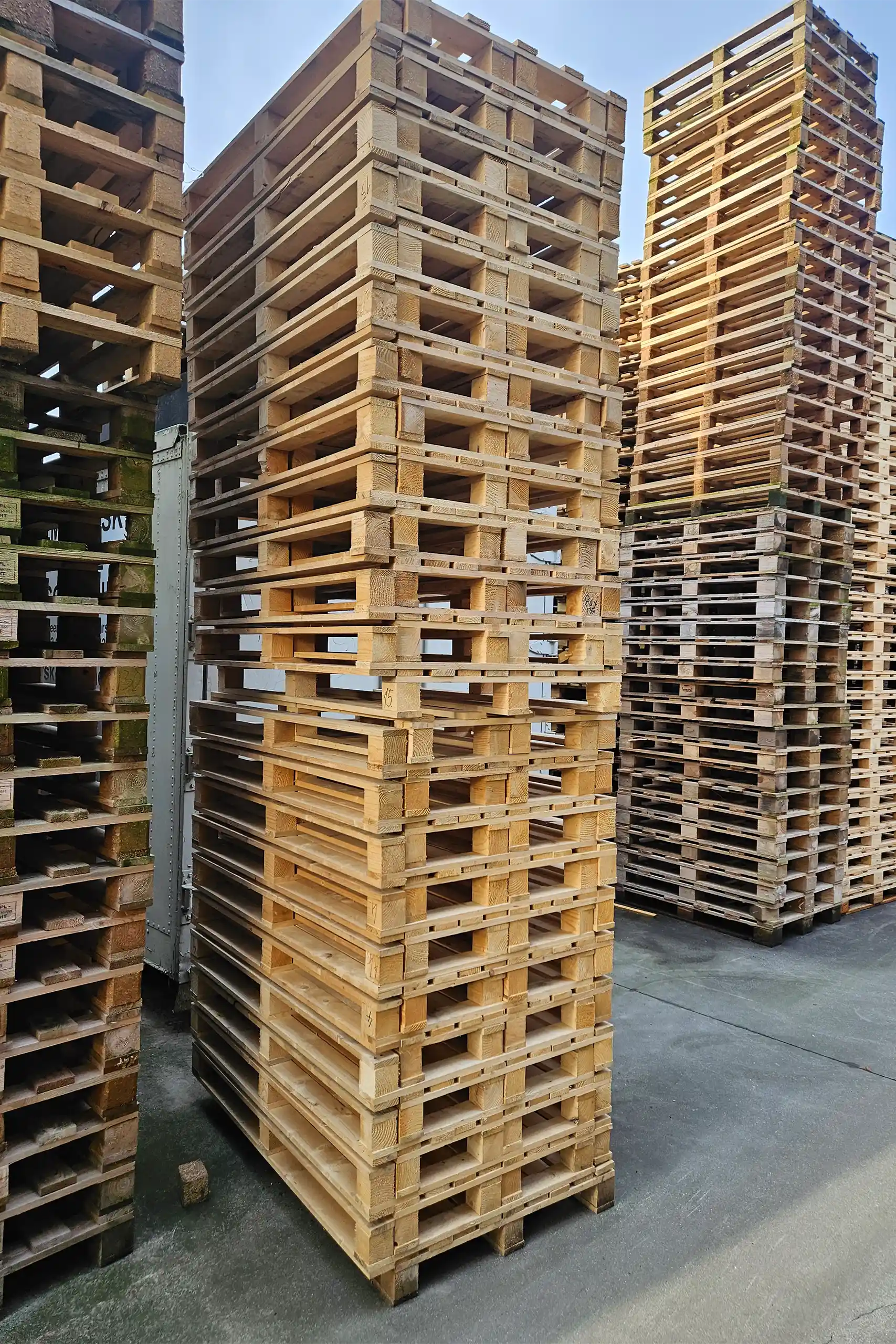 800x1350 Engangspaller