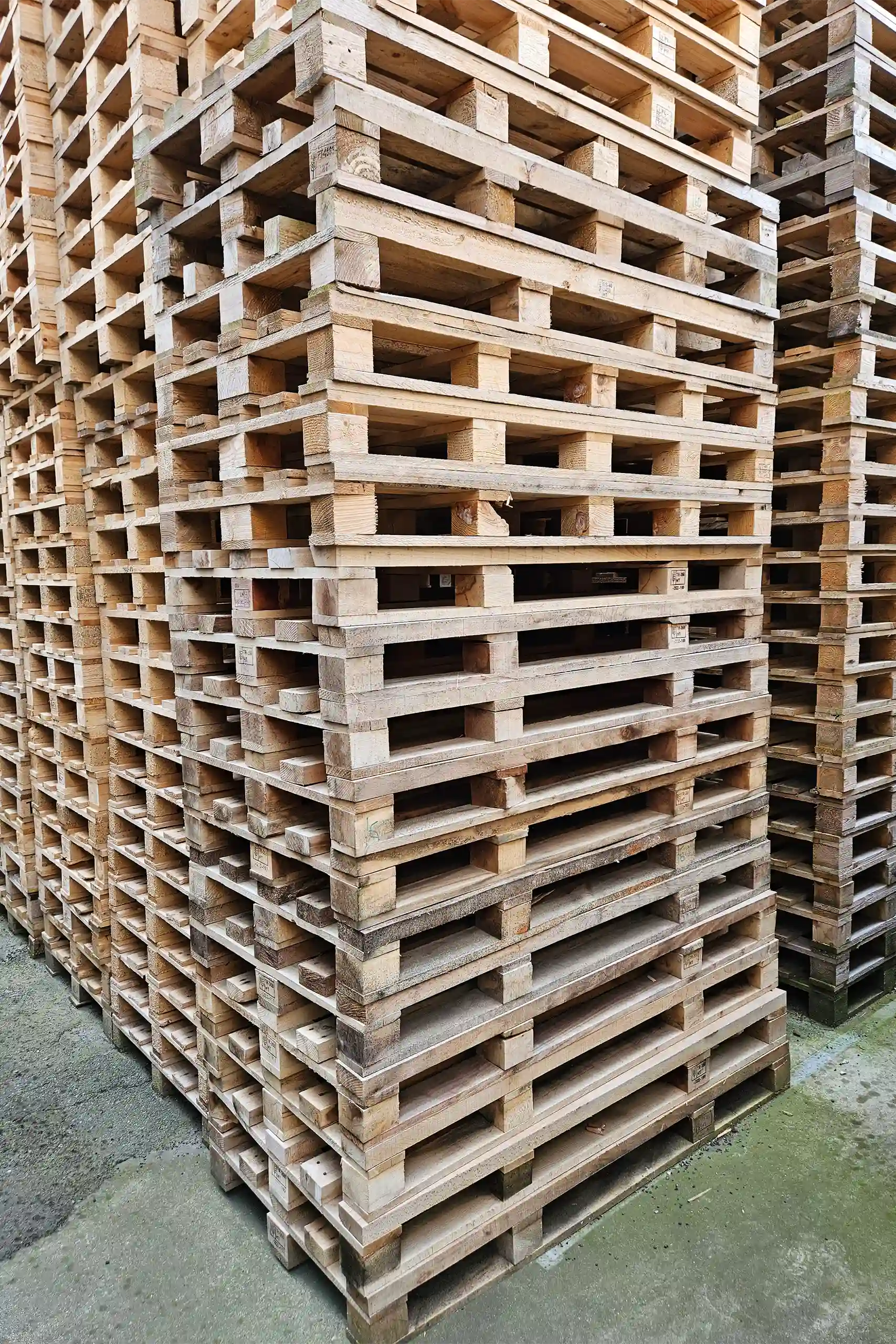 800x1600 Ekstra kraftig engangspalle