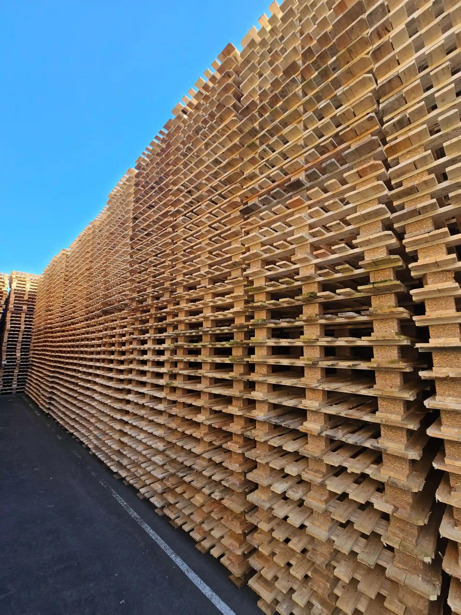 Engangspalle 1100x1300mm, CP4 1300×1100mm