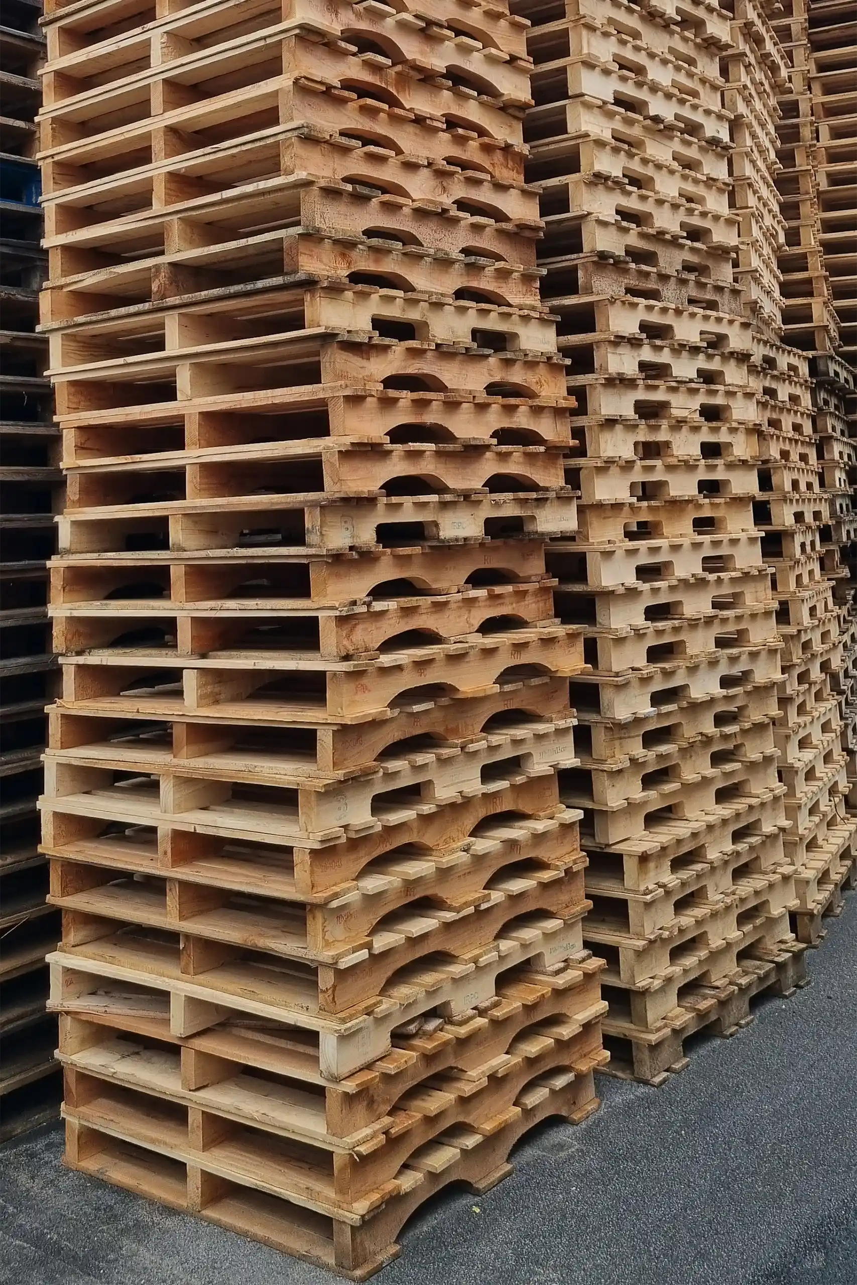 1100x1100 vangepaller