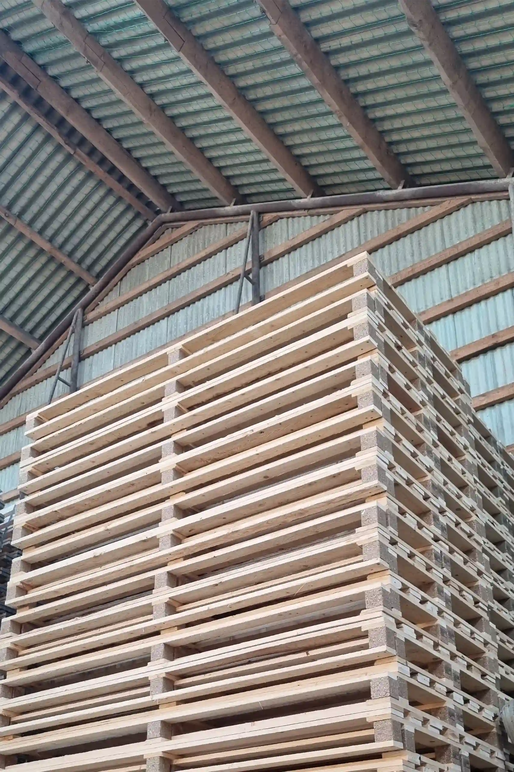 Engangspalle 1100x2300mm, Nye