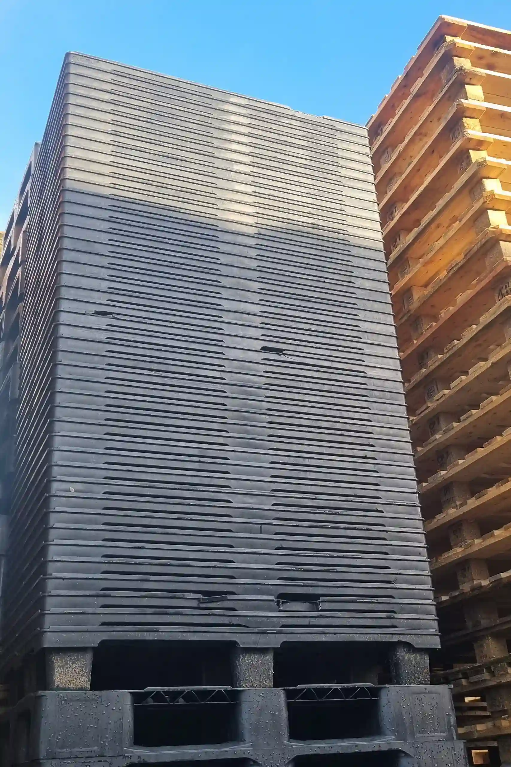 800x1200 Plastpalle Let