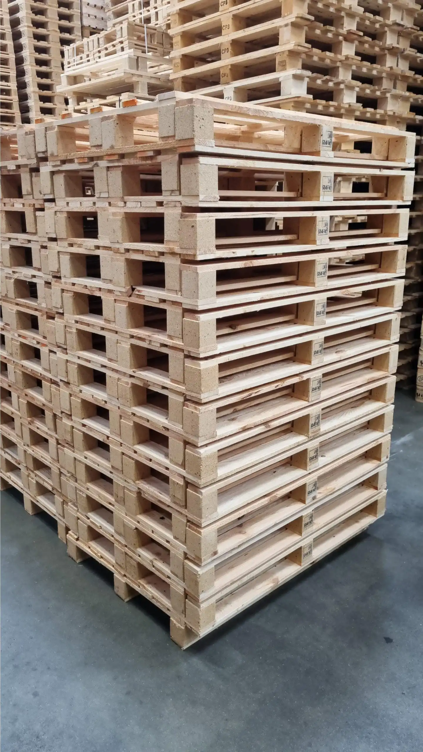 Engangspalle 800x1200mm, Nye